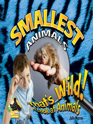 cover image of Smallest Animals